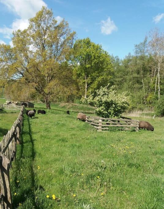 Exklusivewohnung Mitten In Der Natur - Ruth'S Nest Babelin 外观 照片